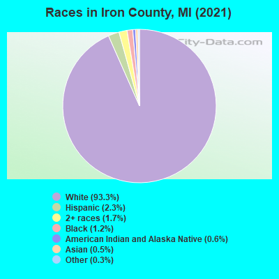Races in Iron County, MI (2019)