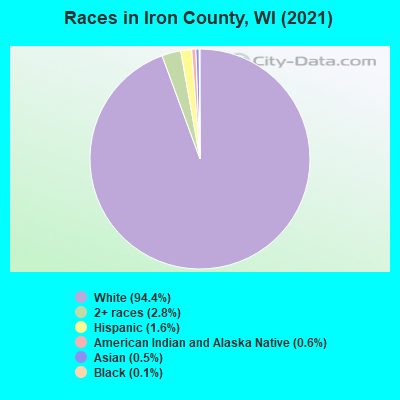 Races in Iron County, WI (2021)