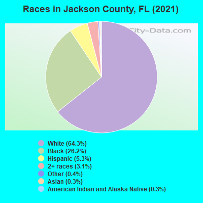 Races in Jackson County, FL (2022)