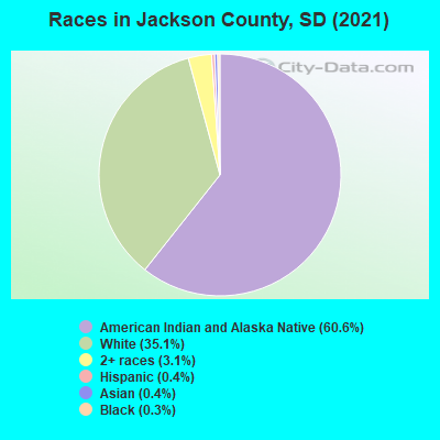 Races in Jackson County, SD (2019)
