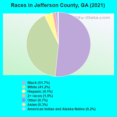 Races in Jefferson County, GA (2019)