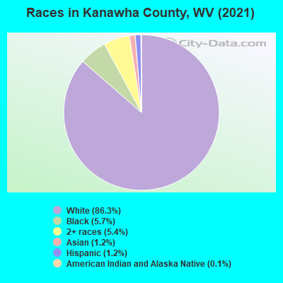 Races in Kanawha County, WV (2022)
