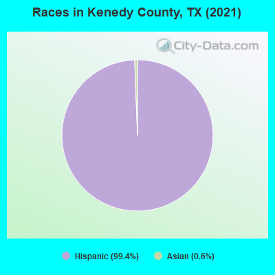 Races in Kenedy County, TX (2019)