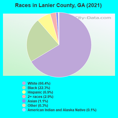 Races in Lanier County, GA (2022)