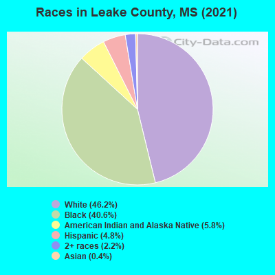 Races in Leake County, MS (2022)