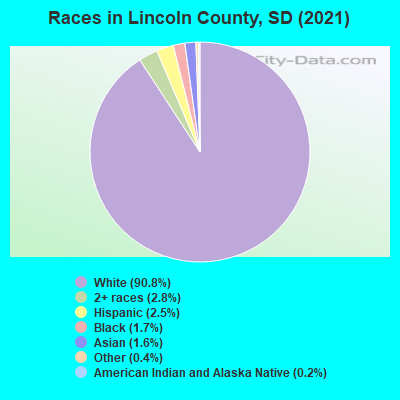 Races in Lincoln County, SD (2019)