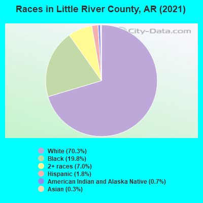Races in Little River County, AR (2022)