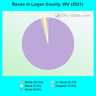 Races in Logan County, WV (2022)