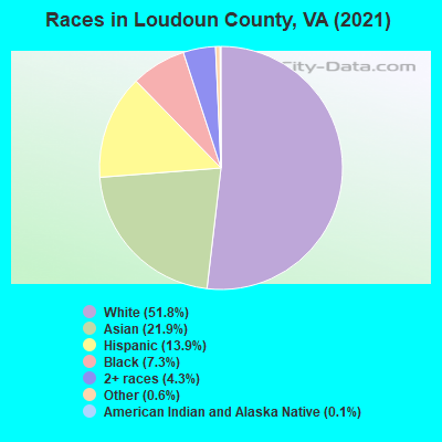 Races in Loudoun County, VA (2022)