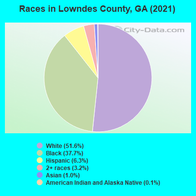 Races in Lowndes County, GA (2019)