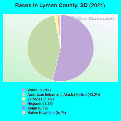 Races in Lyman County, SD (2019)