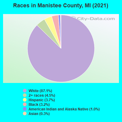 Races in Manistee County, MI (2021)