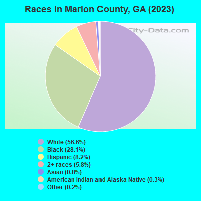 Races in Marion County, GA (2021)