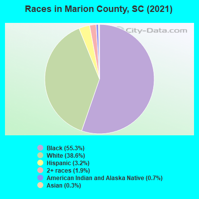 Races in Marion County, SC (2021)