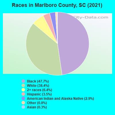 Races in Marlboro County, SC (2021)