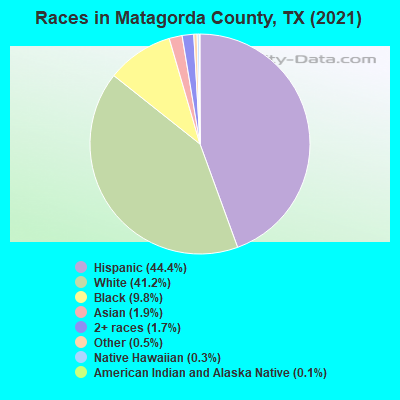 Races in Matagorda County, TX (2021)