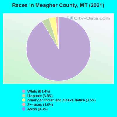 Races in Meagher County, MT (2021)