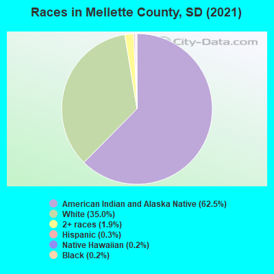 Races in Mellette County, SD (2022)