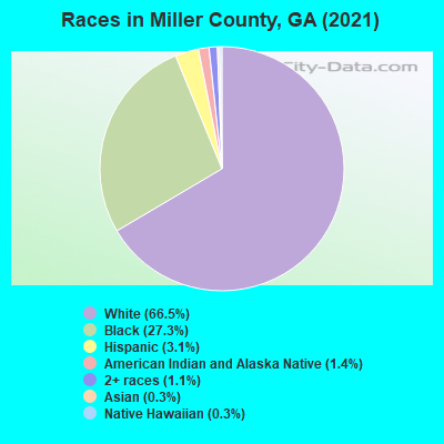 Races in Miller County, GA (2019)