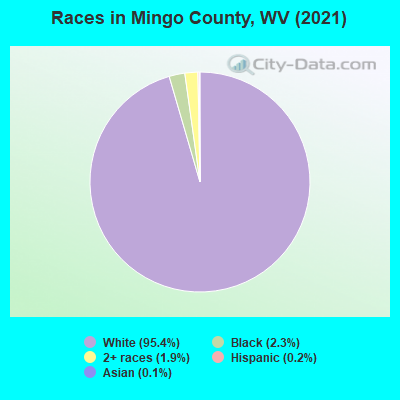 Races in Mingo County, WV (2022)