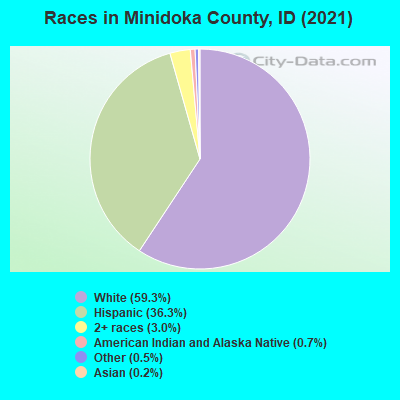 Races in Minidoka County, ID (2022)