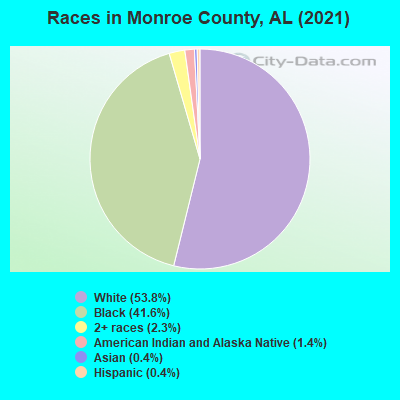 Races in Monroe County, AL (2022)