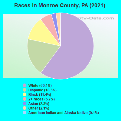 Races in Monroe County, PA (2022)