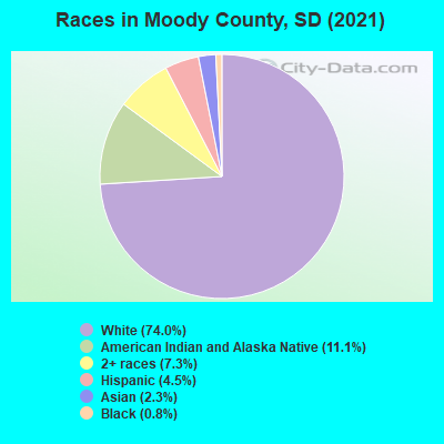 Races in Moody County, SD (2019)