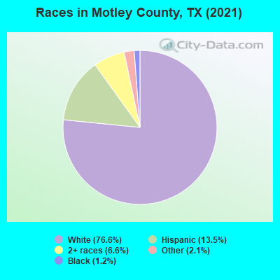 Races in Motley County, TX (2022)