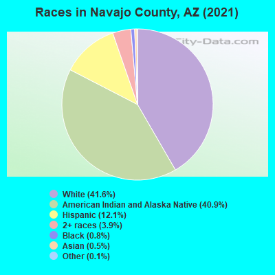 Races in Navajo County, AZ (2022)