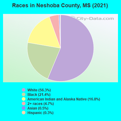 Races in Neshoba County, MS (2022)