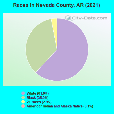 Races in Nevada County, AR (2019)