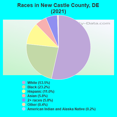 Races in New Castle County, DE (2019)