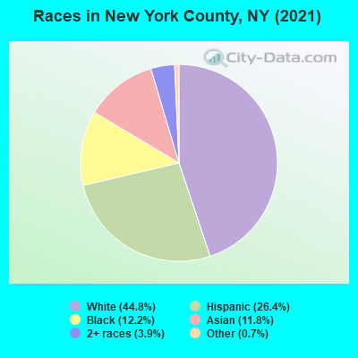 Races in New York County, NY (2022)