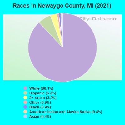 Races in Newaygo County, MI (2021)