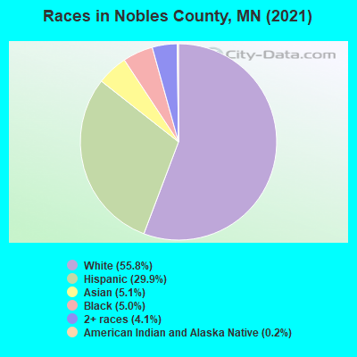 Races in Nobles County, MN (2022)