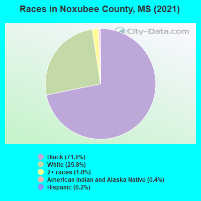 Races in Noxubee County, MS (2022)