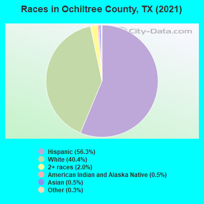 Races in Ochiltree County, TX (2022)