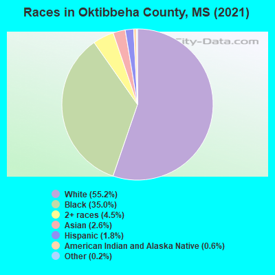 Races in Oktibbeha County, MS (2021)
