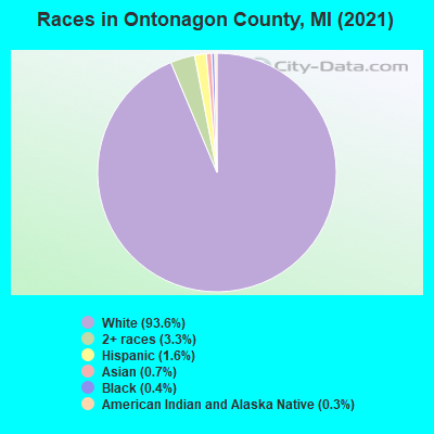 Races in Ontonagon County, MI (2022)