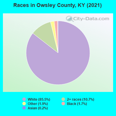 Races in Owsley County, KY (2022)