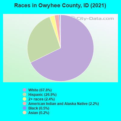 Races in Owyhee County, ID (2022)