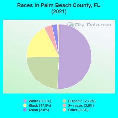 Races in Palm Beach County, FL (2019)