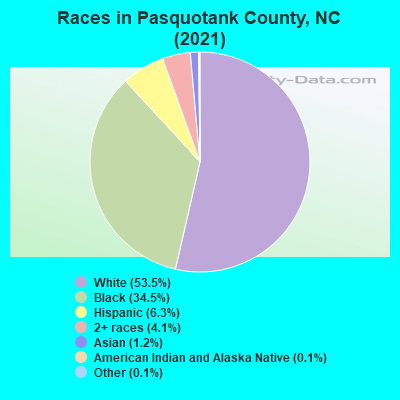 Races in Pasquotank County, NC (2021)