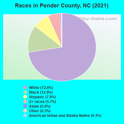 Races in Pender County, NC (2022)