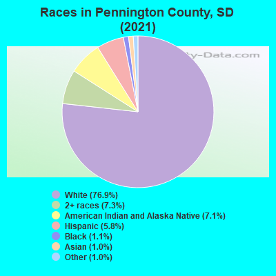 Races in Pennington County, SD (2019)