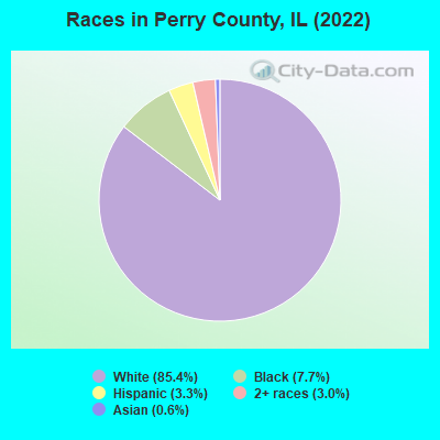 Perry County Illinois detailed profile houses real estate cost of