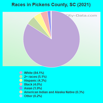 Races in Pickens County, SC (2021)