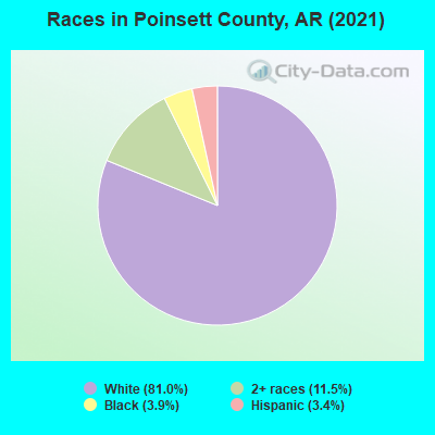 Races in Poinsett County, AR (2019)