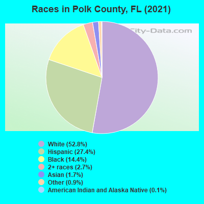 Races in Polk County, FL (2021)